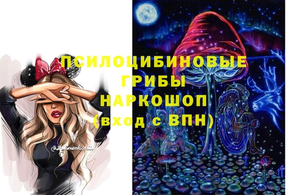 Альфа ПВП Беломорск